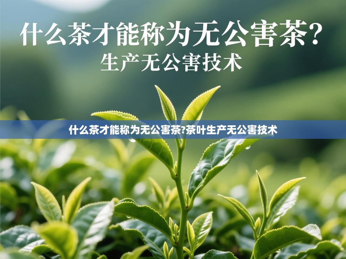什么茶才能称为无公害茶?茶叶生产无公害技术 什么茶才能称为无公害茶?茶叶生产无公害技术