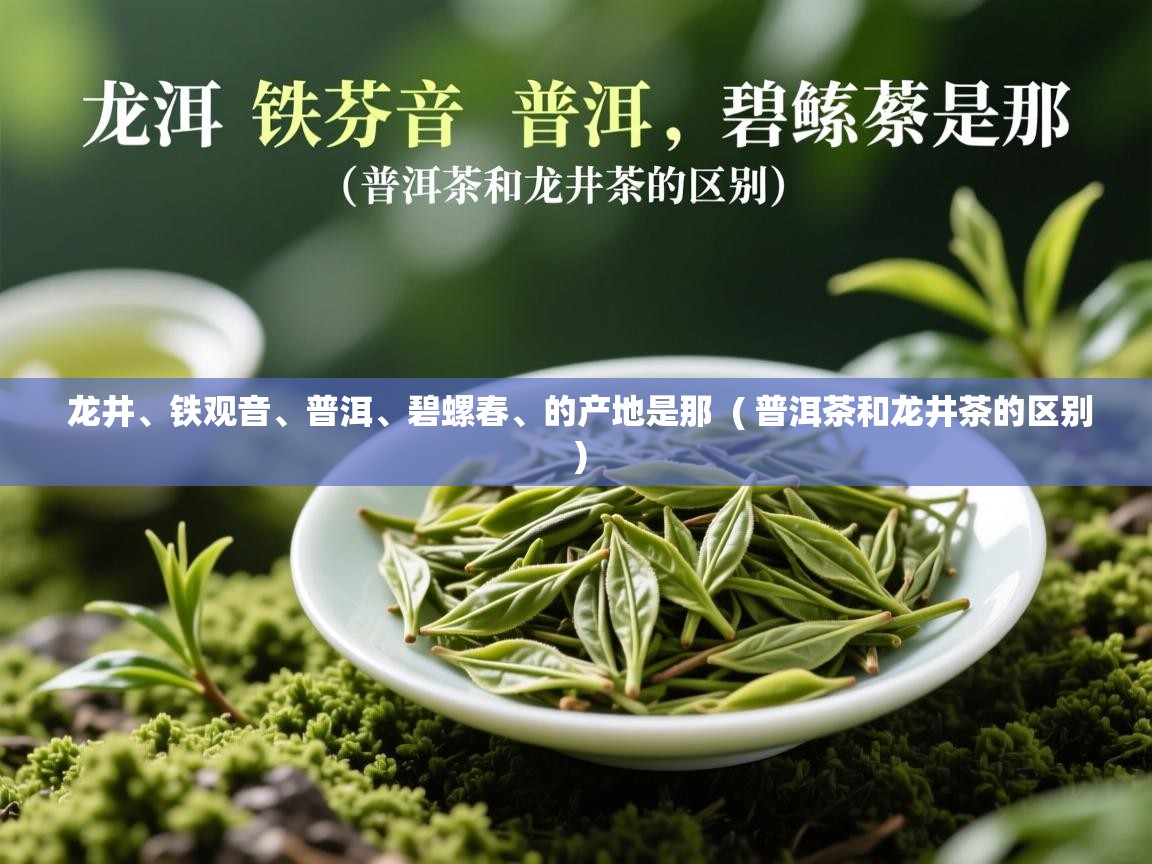 龙井、铁观音、普洱、碧螺春、的产地是那 ( 普洱茶和龙井茶的区别 ) 龙井、铁观音、普洱、碧螺春、的产地是那 ( 普洱茶和龙井茶的区别 )