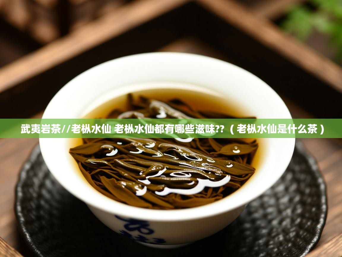 武夷岩茶//老枞水仙 老枞水仙都有哪些滋味??  ( 老枞水仙是什么茶 )