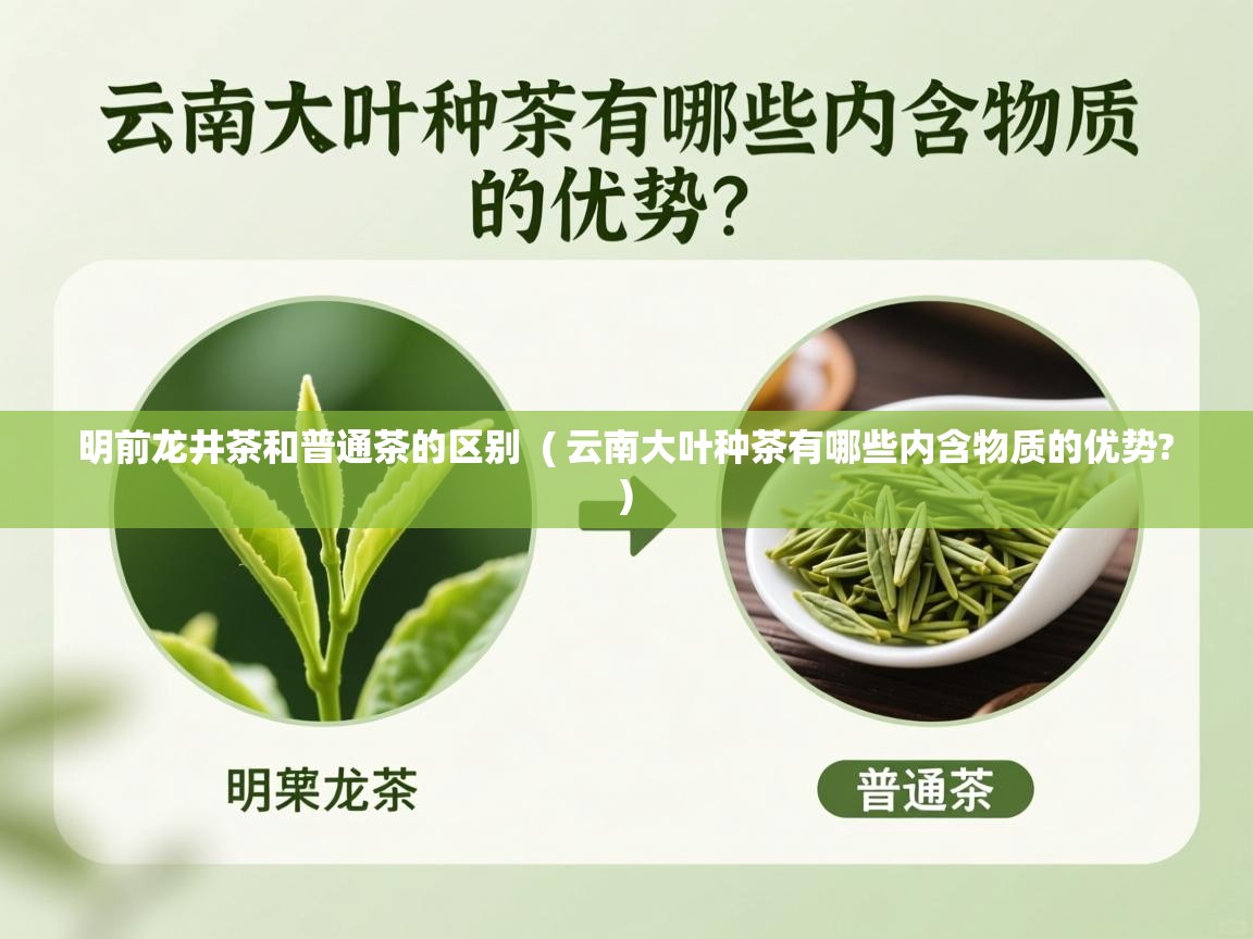 明前龙井茶和普通茶的区别 ( 云南大叶种茶有哪些内含物质的优势? ) 明前龙井茶和普通茶的区别 ( 云南大叶种茶有哪些内含物质的优势? )