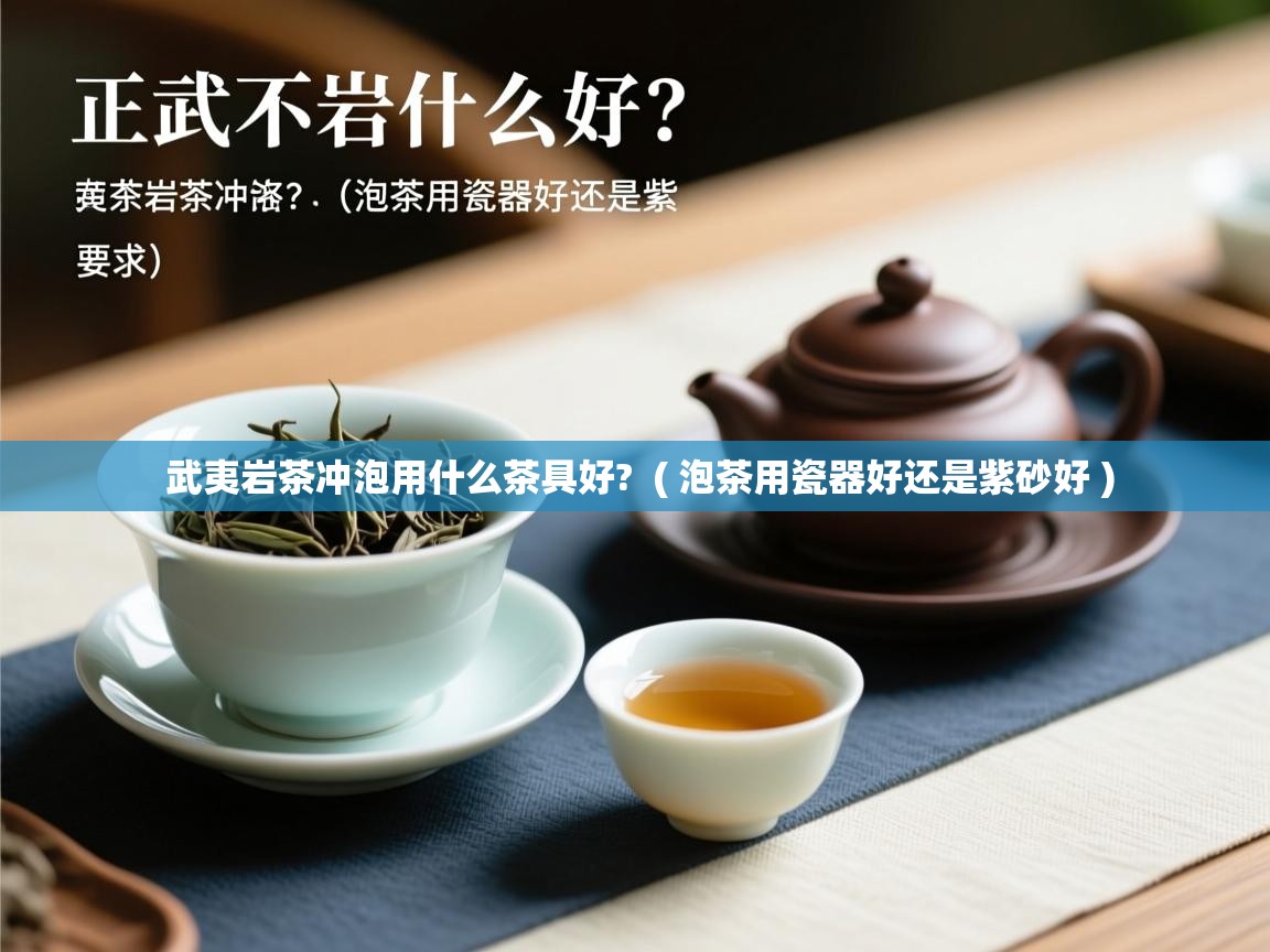 武夷岩茶冲泡用什么茶具好? ( 泡茶用瓷器好还是紫砂好 ) 武夷岩茶冲泡用什么茶具好? ( 泡茶用瓷器好还是紫砂好 )