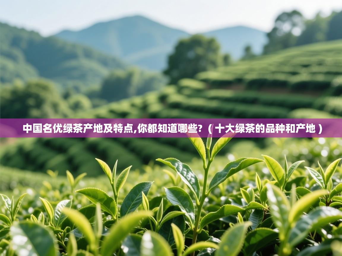 中国名优绿茶产地及特点,你都知道哪些? ( 十大绿茶的品种和产地 ) 中国名优绿茶产地及特点,你都知道哪些? ( 十大绿茶的品种和产地 )