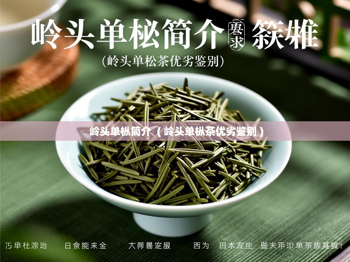 岭头单枞简介 ( 岭头单枞茶优劣鉴别 ) 岭头单枞简介 ( 岭头单枞茶优劣鉴别 )
