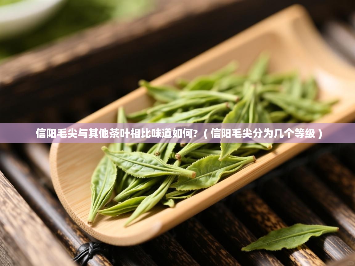 信阳毛尖与其他茶叶相比味道如何? ( 信阳毛尖分为几个等级 ) 信阳毛尖与其他茶叶相比味道如何? ( 信阳毛尖分为几个等级 )