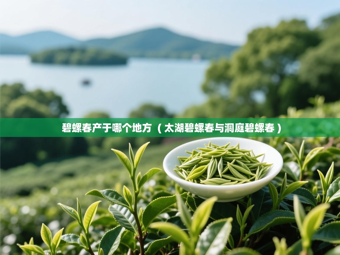 碧螺春产于哪个地方 ( 太湖碧螺春与洞庭碧螺春 ) 碧螺春产于哪个地方 ( 太湖碧螺春与洞庭碧螺春 )