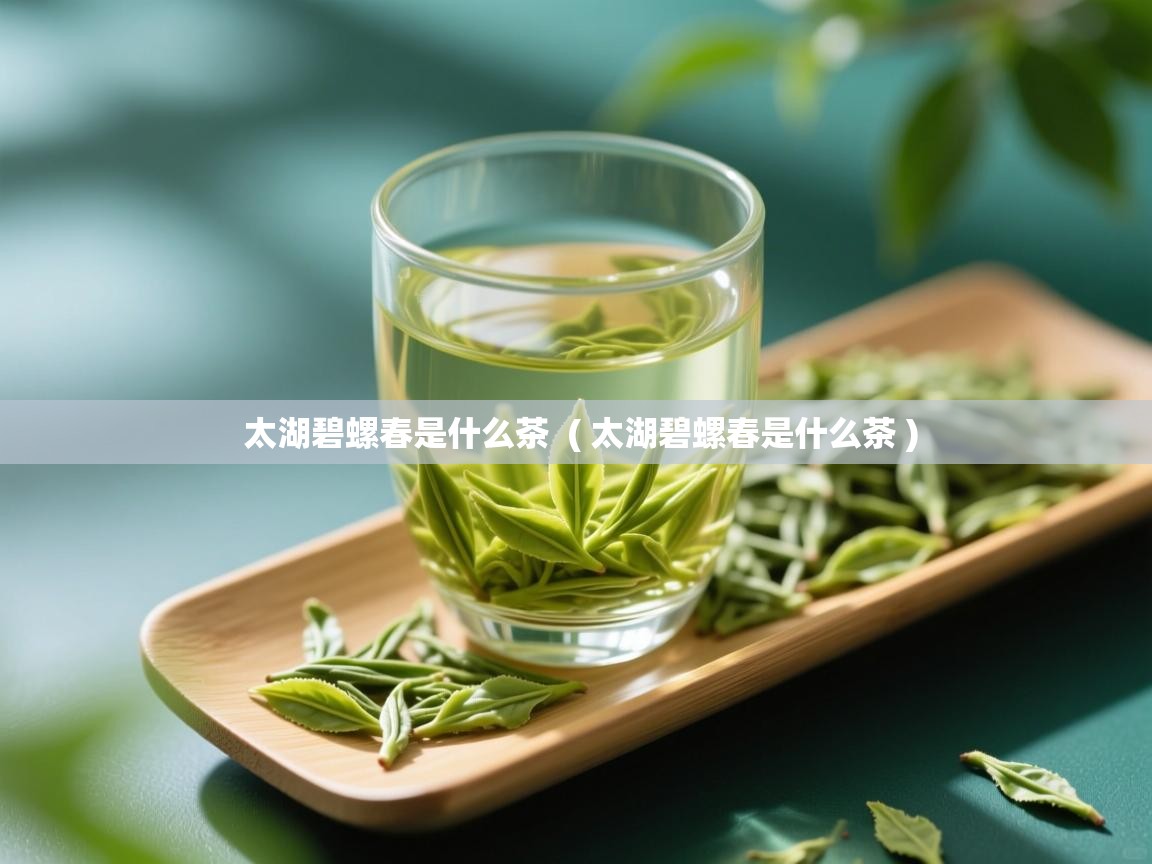 太湖碧螺春是什么茶 ( 太湖碧螺春是什么茶 ) 太湖碧螺春是什么茶 ( 太湖碧螺春是什么茶 )