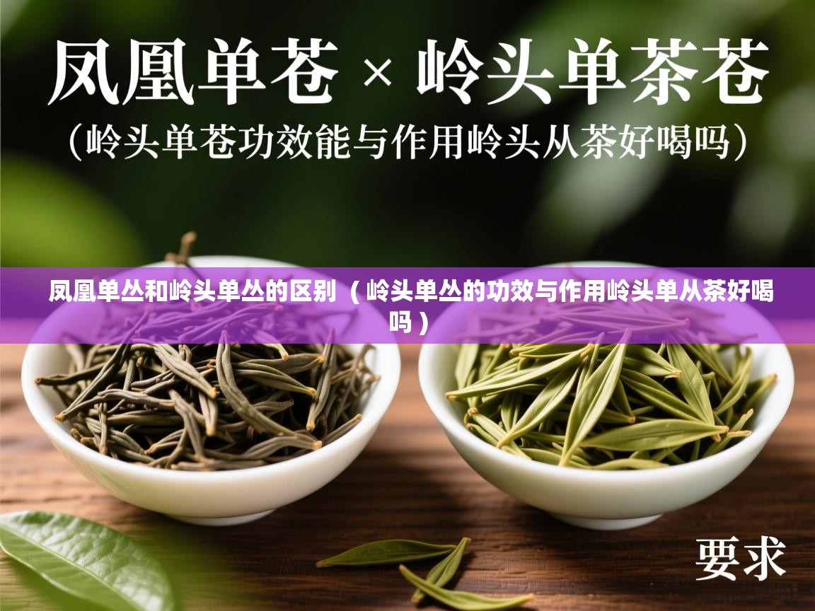 凤凰单丛和岭头单丛的区别 ( 岭头单丛的功效与作用岭头单从茶好喝吗 ) 凤凰单丛和岭头单丛的区别 ( 岭头单丛的功效与作用岭头单从茶好喝吗 )