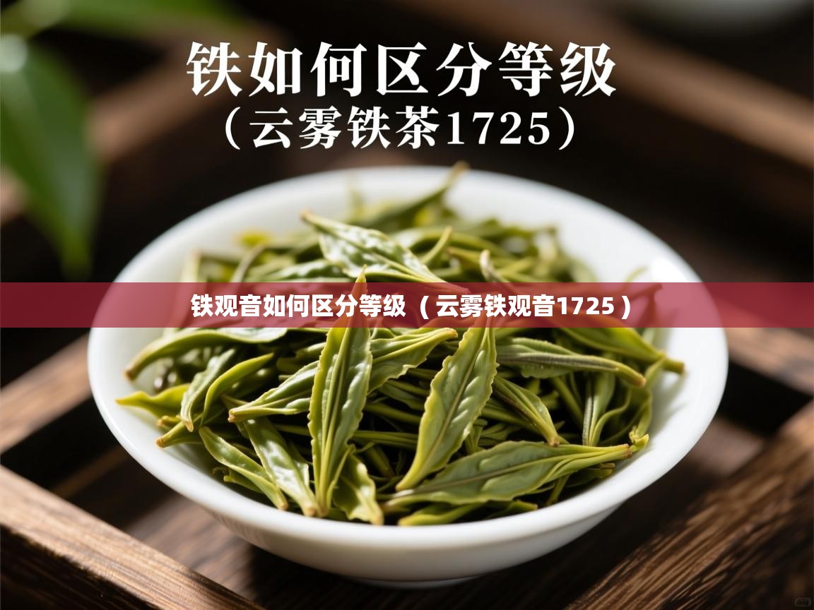  铁观音如何区分等级  ( 云雾铁观音1725 )