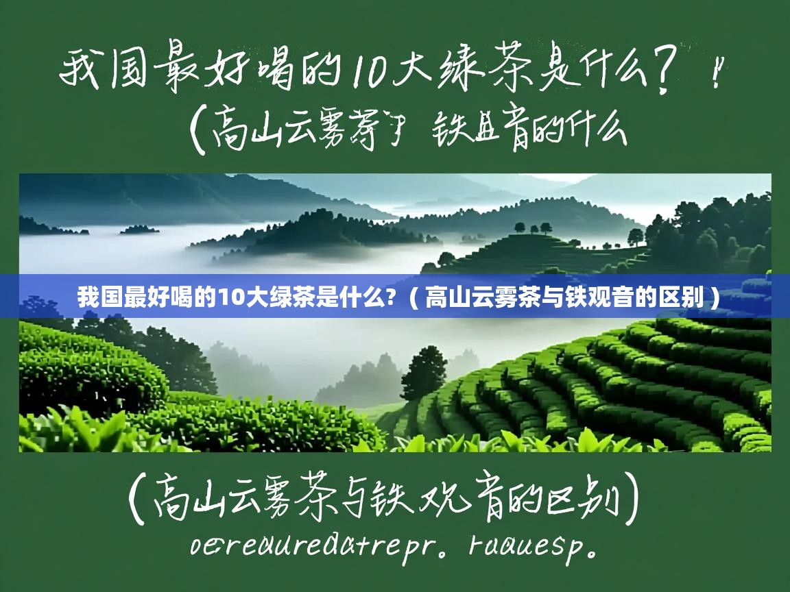  我国最好喝的10大绿茶是什么?  ( 高山云雾茶与铁观音的区别 )