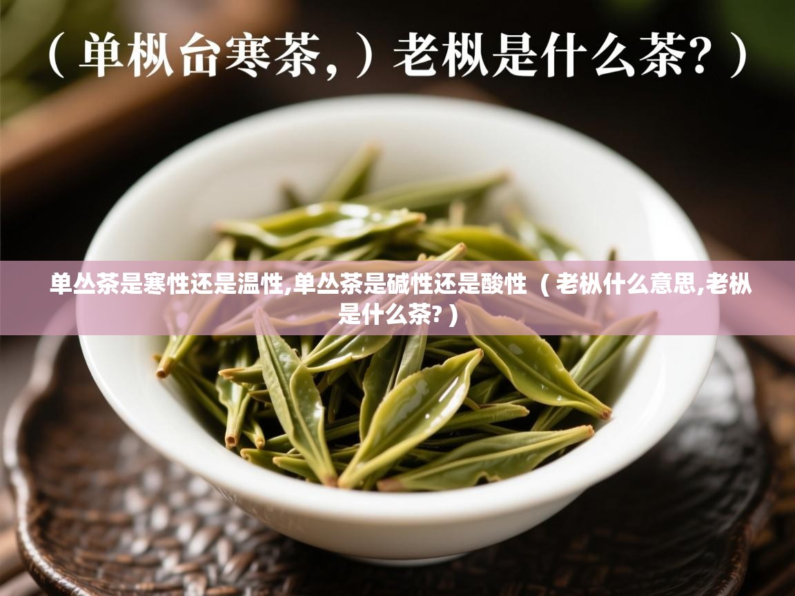 单丛茶是寒性还是温性,单丛茶是碱性还是酸性 ( 老枞什么意思,老枞是什么茶? ) 单丛茶是寒性还是温性,单丛茶是碱性还是酸性 ( 老枞什么意思,老枞是什么茶? )