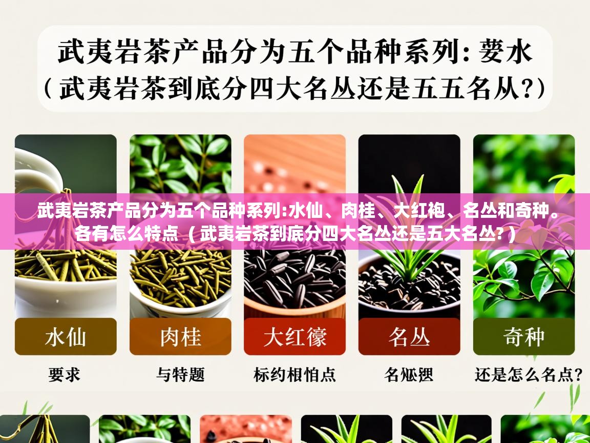  武夷岩茶产品分为五个品种系列:水仙、肉桂、大红袍、名丛和奇种。各有怎么特点  ( 武夷岩茶到底分四大名丛还是五大名丛? )