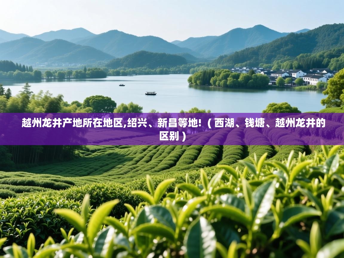 越州龙井产地所在地区,绍兴、新昌等地! ( 西湖、钱塘、越州龙井的区别 ) 越州龙井产地所在地区,绍兴、新昌等地! ( 西湖、钱塘、越州龙井的区别 )