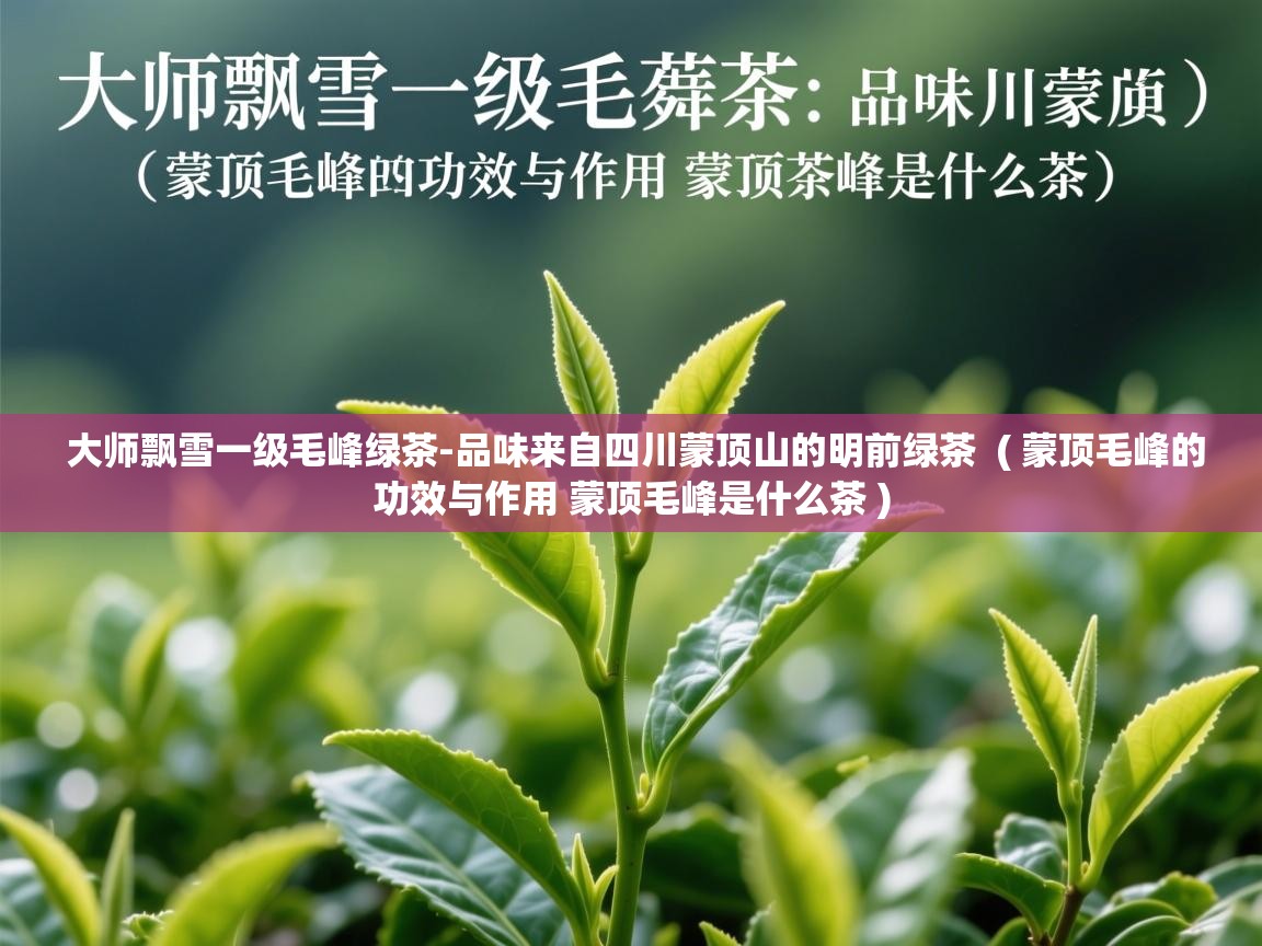 大师飘雪一级毛峰绿茶-品味来自四川蒙顶山的明前绿茶 ( 蒙顶毛峰的功效与作用 蒙顶毛峰是什么茶 ) 大师飘雪一级毛峰绿茶-品味来自四川蒙顶山的明前绿茶 ( 蒙顶毛峰的功效与作用 蒙顶毛峰是什么茶 )