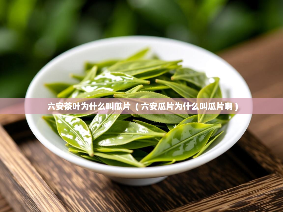 六安茶叶为什么叫瓜片 ( 六安瓜片为什么叫瓜片啊 ) 六安茶叶为什么叫瓜片 ( 六安瓜片为什么叫瓜片啊 )