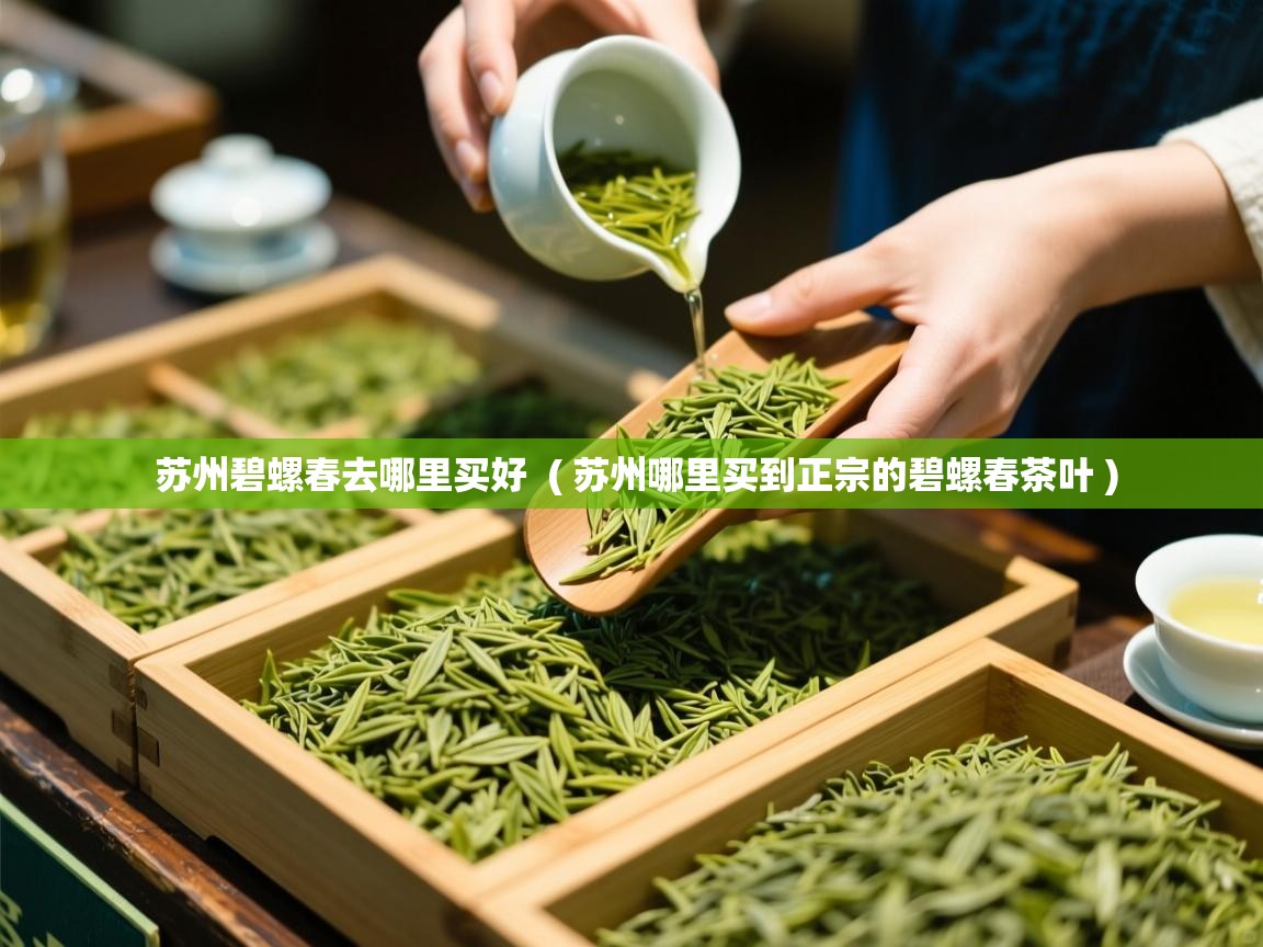  苏州碧螺春去哪里买好  ( 苏州哪里买到正宗的碧螺春茶叶 )