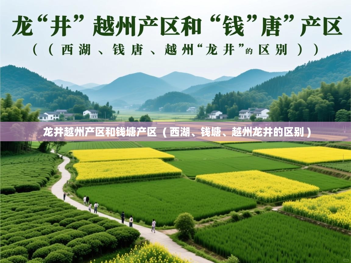 龙井越州产区和钱塘产区 ( 西湖、钱塘、越州龙井的区别 ) 龙井越州产区和钱塘产区 ( 西湖、钱塘、越州龙井的区别 )