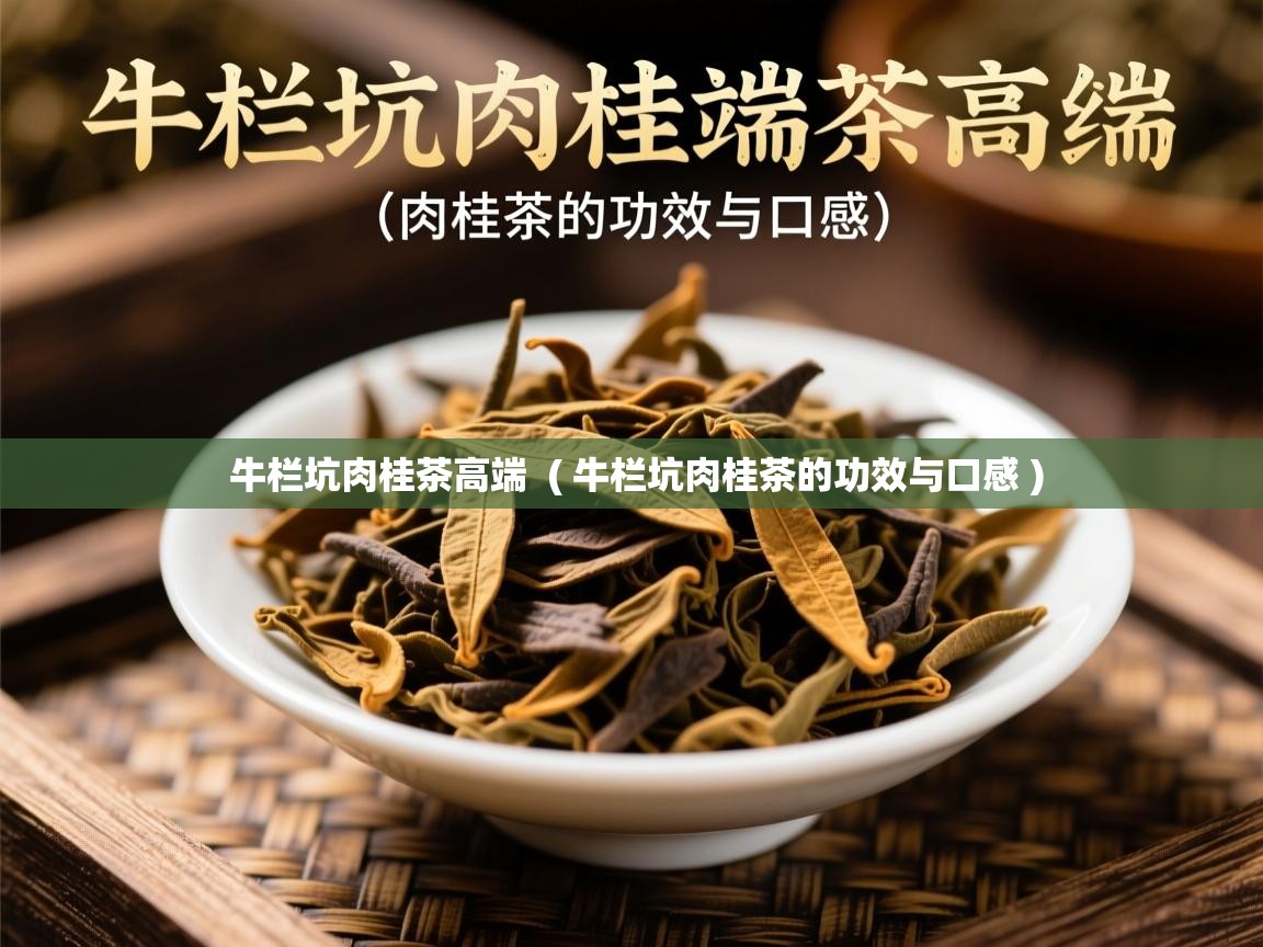 牛栏坑肉桂茶高端 ( 牛栏坑肉桂茶的功效与口感 ) 牛栏坑肉桂茶高端 ( 牛栏坑肉桂茶的功效与口感 )