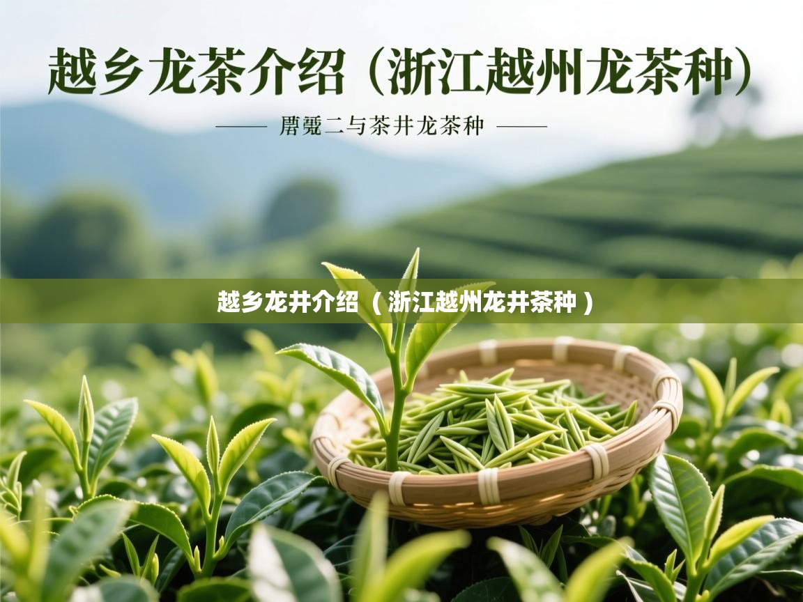 越乡龙井介绍 ( 浙江越州龙井茶种 ) 越乡龙井介绍 ( 浙江越州龙井茶种 )