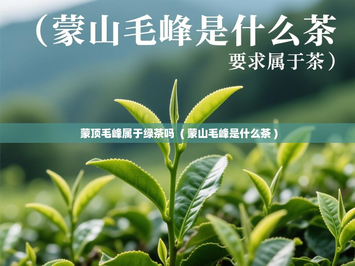 蒙顶毛峰属于绿茶吗 ( 蒙山毛峰是什么茶 ) 蒙顶毛峰属于绿茶吗 ( 蒙山毛峰是什么茶 )