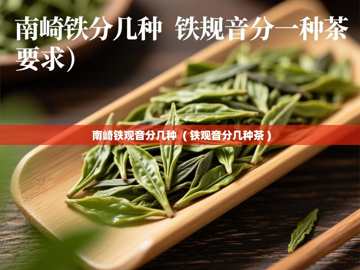  南崎铁观音分几种  ( 铁观音分几种茶 )