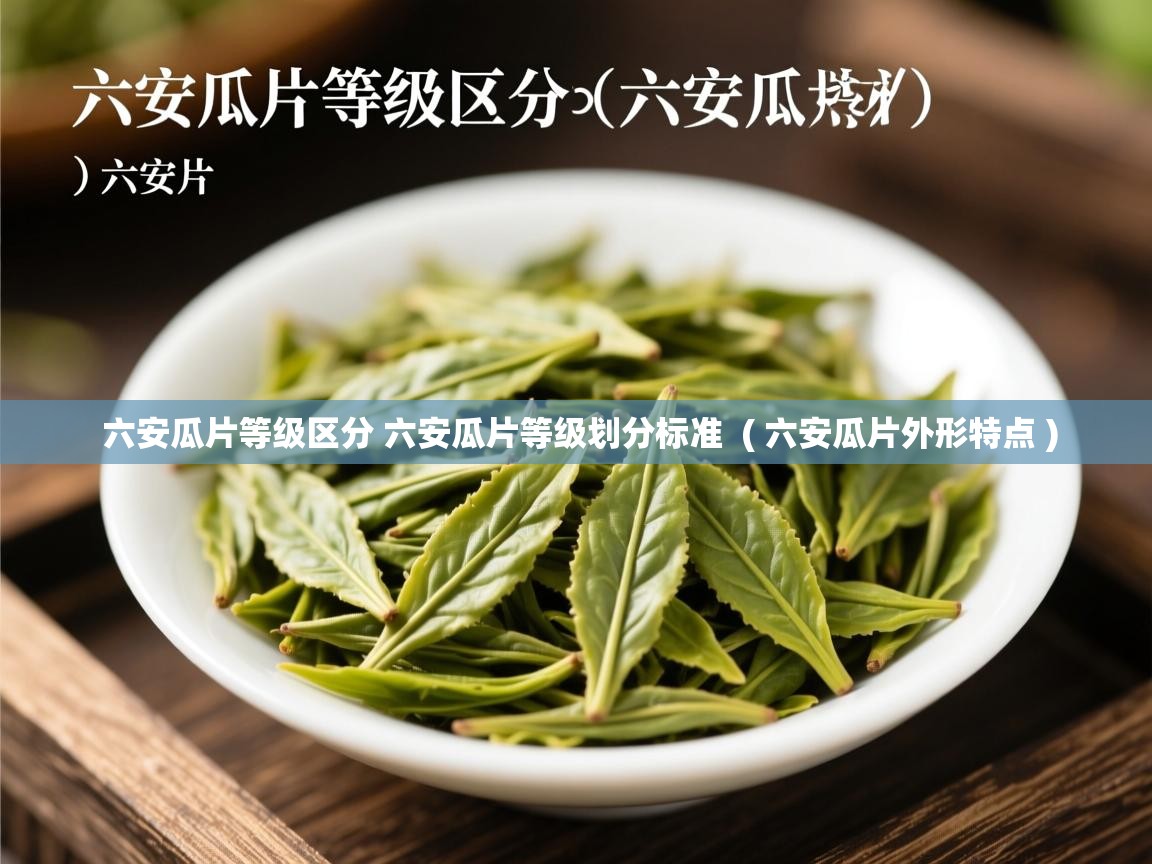 六安瓜片等级区分 六安瓜片等级划分标准 ( 六安瓜片外形特点 ) 六安瓜片等级区分 六安瓜片等级划分标准 ( 六安瓜片外形特点 )