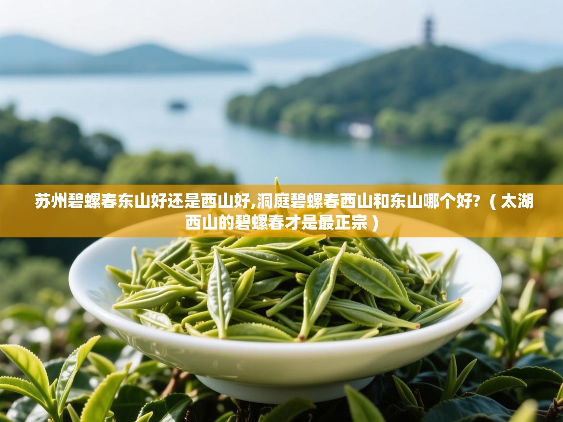 苏州碧螺春东山好还是西山好,洞庭碧螺春西山和东山哪个好? ( 太湖西山的碧螺春才是最正宗 ) 苏州碧螺春东山好还是西山好,洞庭碧螺春西山和东山哪个好? ( 太湖西山的碧螺春才是最正宗 )
