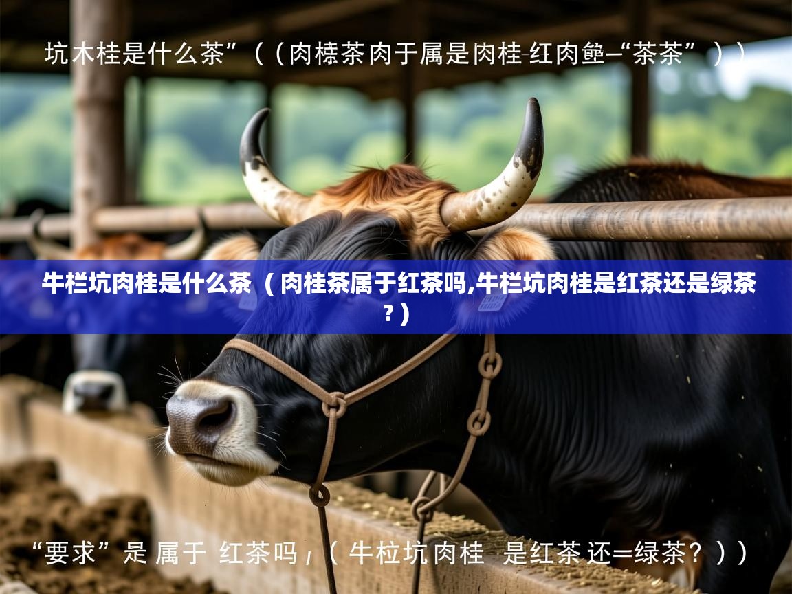 牛栏坑肉桂是什么茶 ( 肉桂茶属于红茶吗,牛栏坑肉桂是红茶还是绿茶? ) 牛栏坑肉桂是什么茶 ( 肉桂茶属于红茶吗,牛栏坑肉桂是红茶还是绿茶? )