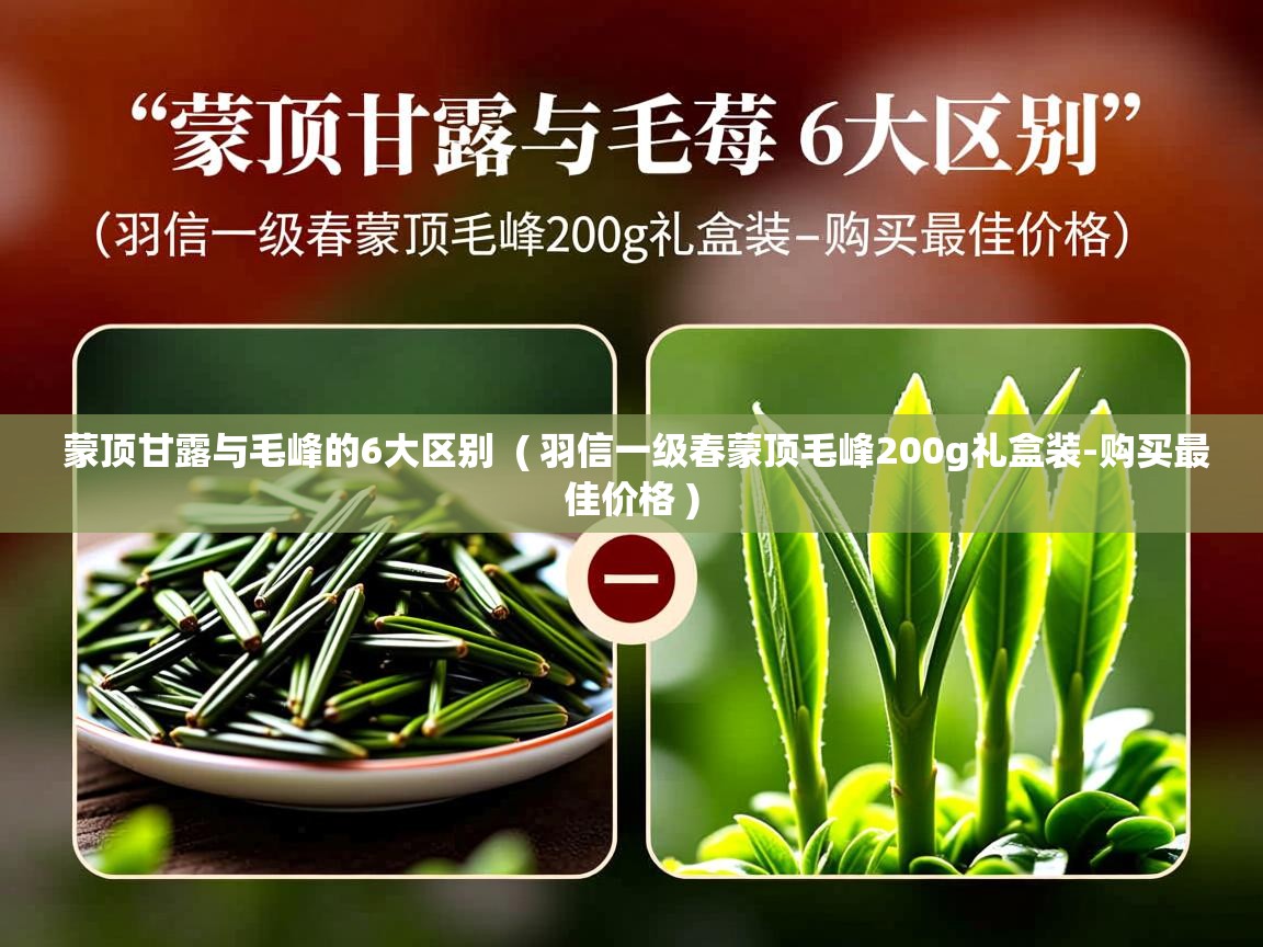 蒙顶甘露与毛峰的6大区别 ( 羽信一级春蒙顶毛峰200g礼盒装-购买最佳价格 ) 蒙顶甘露与毛峰的6大区别 ( 羽信一级春蒙顶毛峰200g礼盒装-购买最佳价格 )