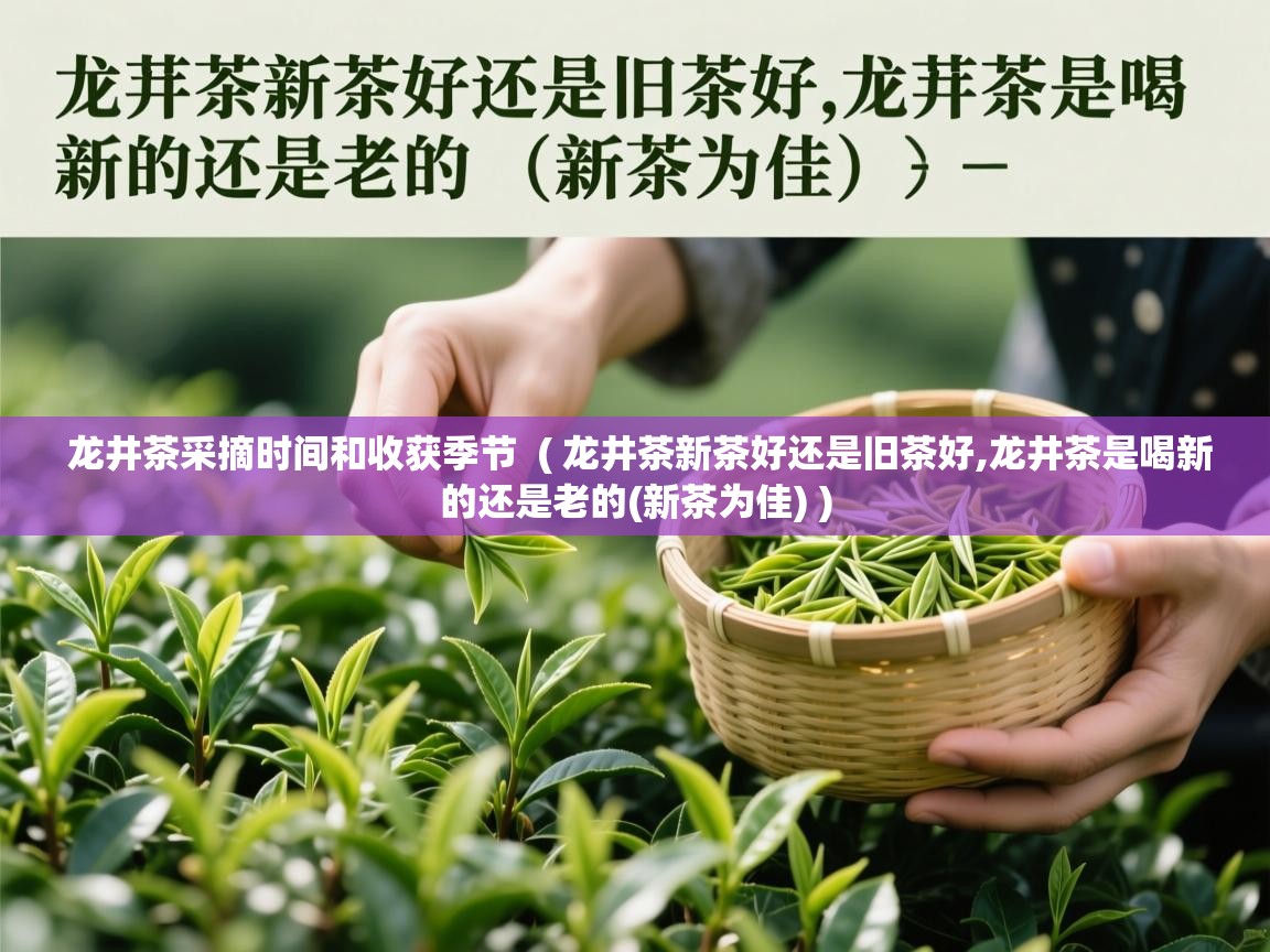 龙井茶采摘时间和收获季节 ( 龙井茶新茶好还是旧茶好,龙井茶是喝新的还是老的(新茶为佳) ) 龙井茶采摘时间和收获季节 ( 龙井茶新茶好还是旧茶好,龙井茶是喝新的还是老的(新茶为佳) )