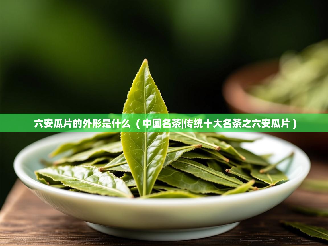 六安瓜片的外形是什么 ( 中国名茶|传统十大名茶之六安瓜片 ) 六安瓜片的外形是什么 ( 中国名茶|传统十大名茶之六安瓜片 )