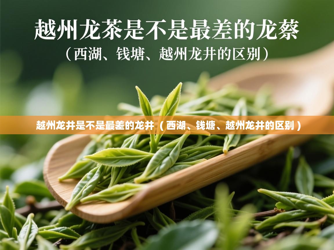 越州龙井是不是最差的龙井 ( 西湖、钱塘、越州龙井的区别 ) 越州龙井是不是最差的龙井 ( 西湖、钱塘、越州龙井的区别 )