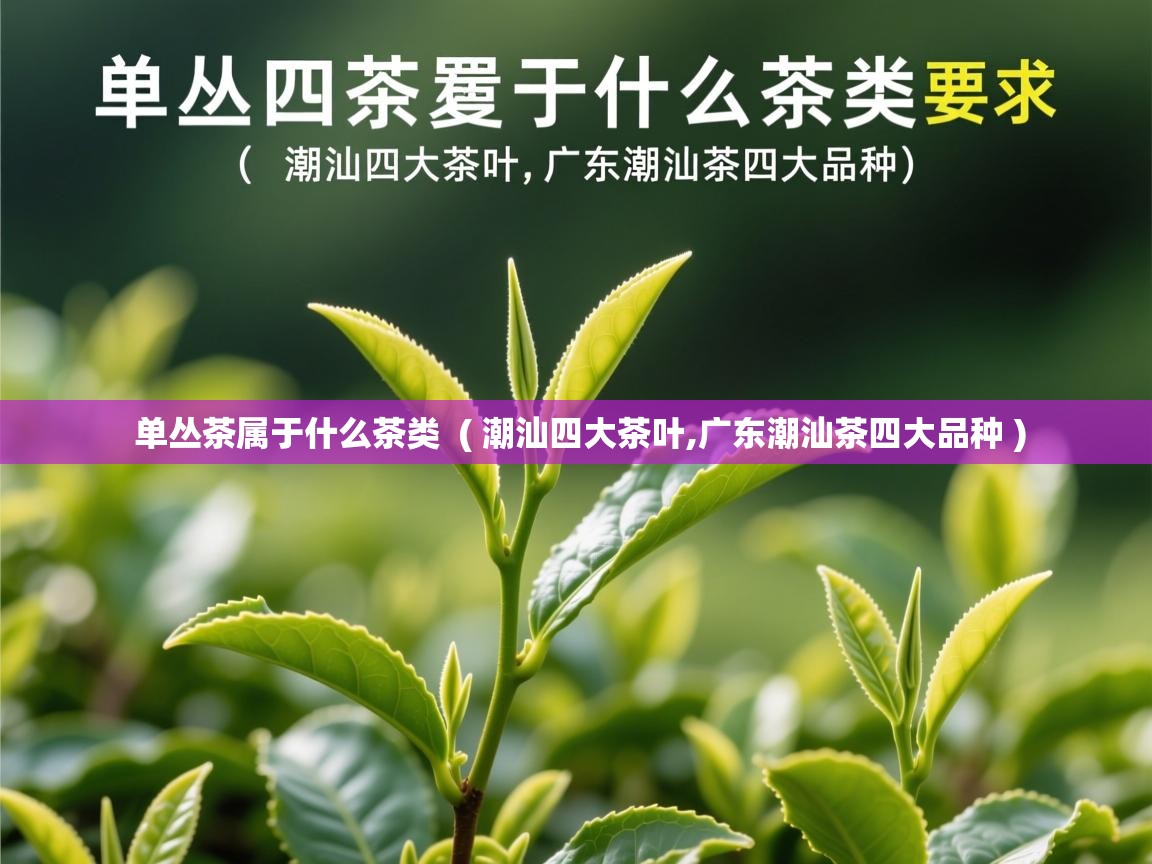 单丛茶属于什么茶类 ( 潮汕四大茶叶,广东潮汕茶四大品种 ) 单丛茶属于什么茶类 ( 潮汕四大茶叶,广东潮汕茶四大品种 )