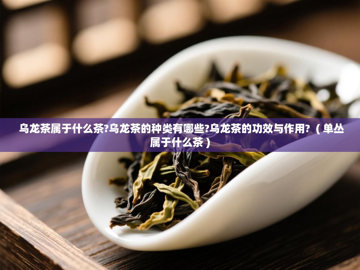  乌龙茶属于什么茶?乌龙茶的种类有哪些?乌龙茶的功效与作用?  ( 单丛属于什么茶 )
