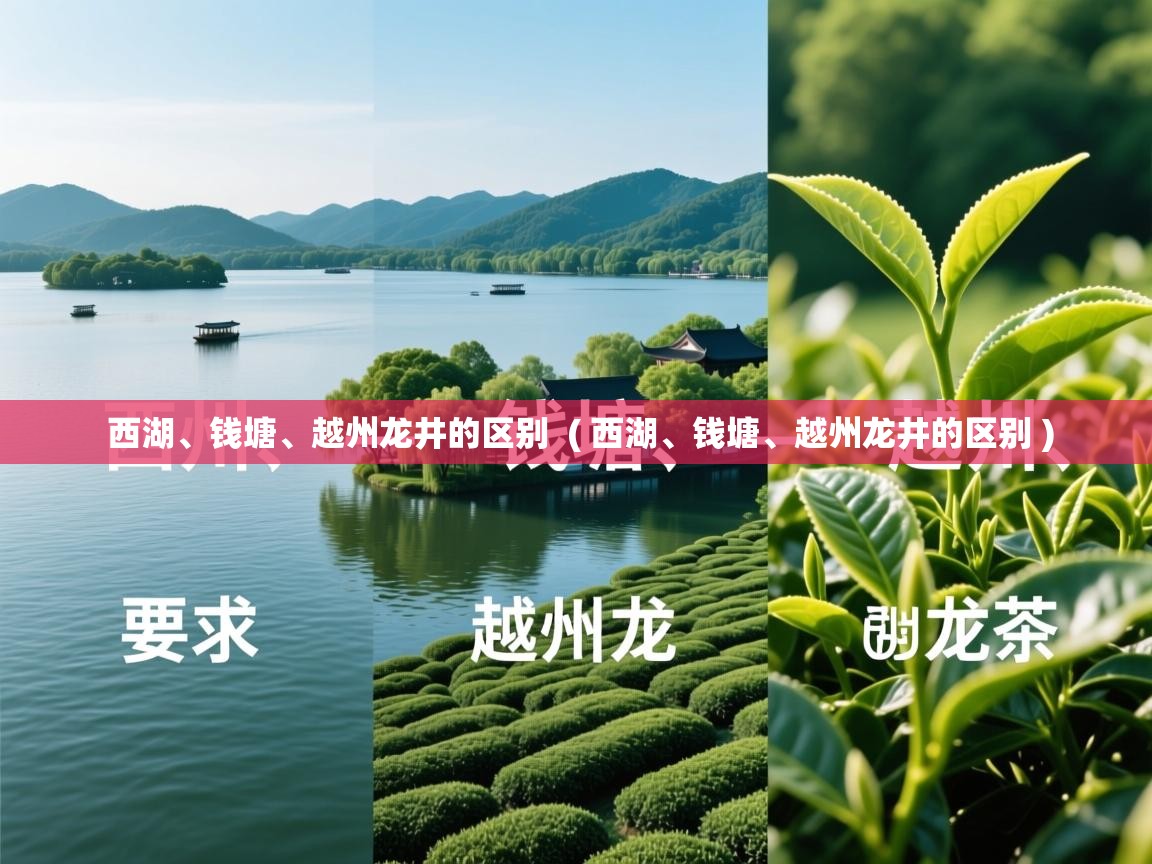  西湖、钱塘、越州龙井的区别  ( 西湖、钱塘、越州龙井的区别 )