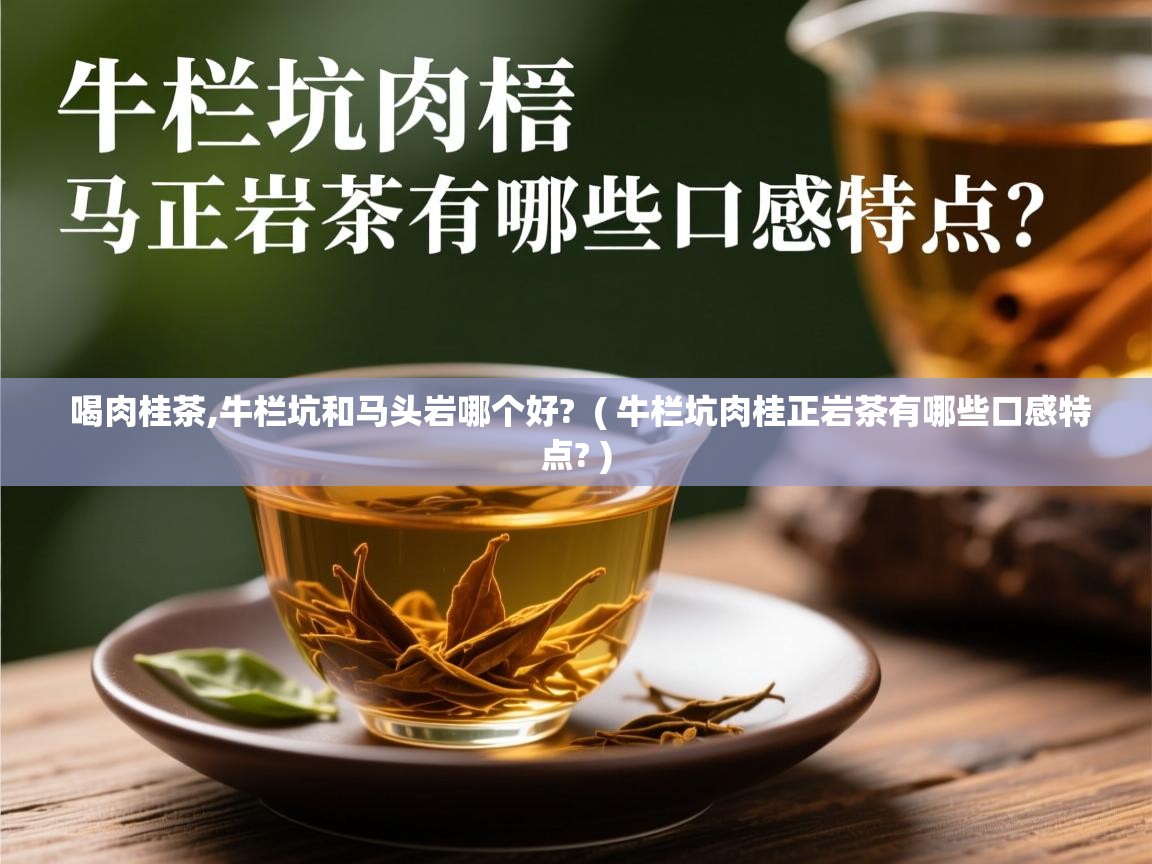 喝肉桂茶,牛栏坑和马头岩哪个好? ( 牛栏坑肉桂正岩茶有哪些口感特点? ) 喝肉桂茶,牛栏坑和马头岩哪个好? ( 牛栏坑肉桂正岩茶有哪些口感特点? )