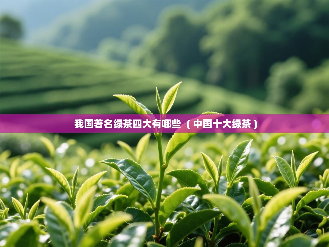 我国著名绿茶四大有哪些 ( 中国十大绿茶 ) 我国著名绿茶四大有哪些 ( 中国十大绿茶 )