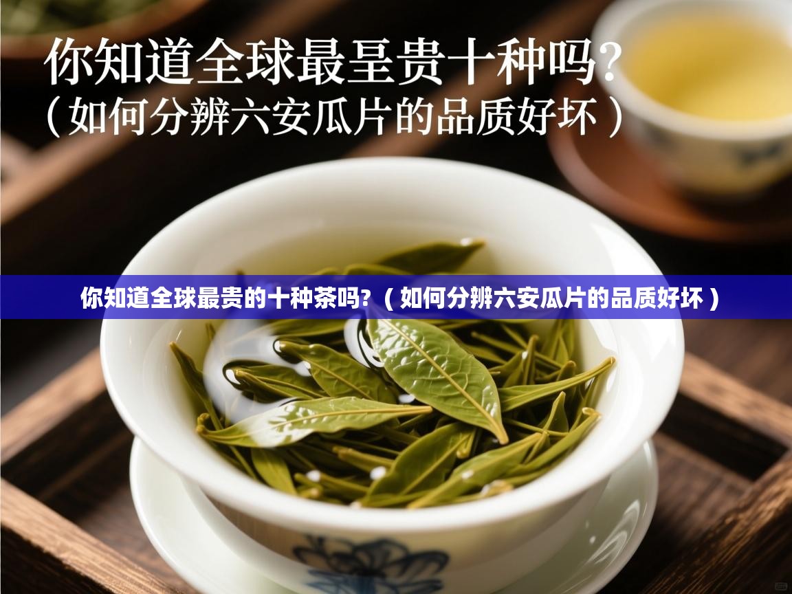 你知道全球最贵的十种茶吗? ( 如何分辨六安瓜片的品质好坏 ) 你知道全球最贵的十种茶吗? ( 如何分辨六安瓜片的品质好坏 )