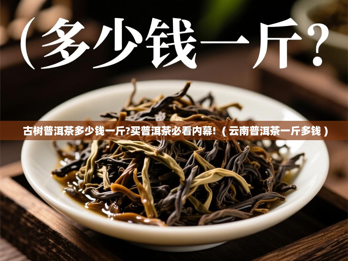 古树普洱茶多少钱一斤?买普洱茶必看内幕! ( 云南普洱茶一斤多钱 ) 古树普洱茶多少钱一斤?买普洱茶必看内幕! ( 云南普洱茶一斤多钱 )