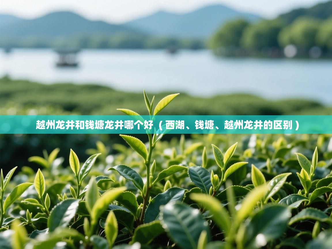 越州龙井和钱塘龙井哪个好 ( 西湖、钱塘、越州龙井的区别 ) 越州龙井和钱塘龙井哪个好 ( 西湖、钱塘、越州龙井的区别 )