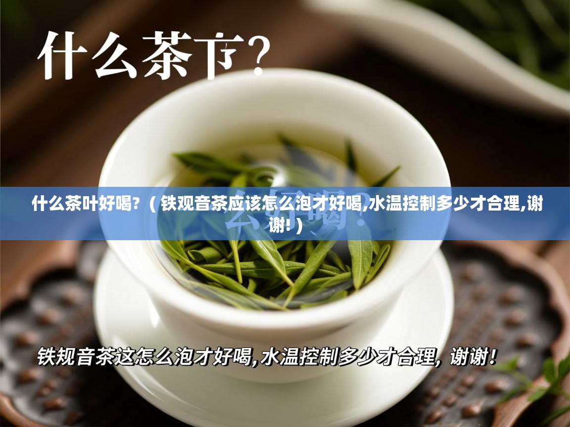 什么茶叶好喝? ( 铁观音茶应该怎么泡才好喝,水温控制多少才合理,谢谢! ) 什么茶叶好喝? ( 铁观音茶应该怎么泡才好喝,水温控制多少才合理,谢谢! )