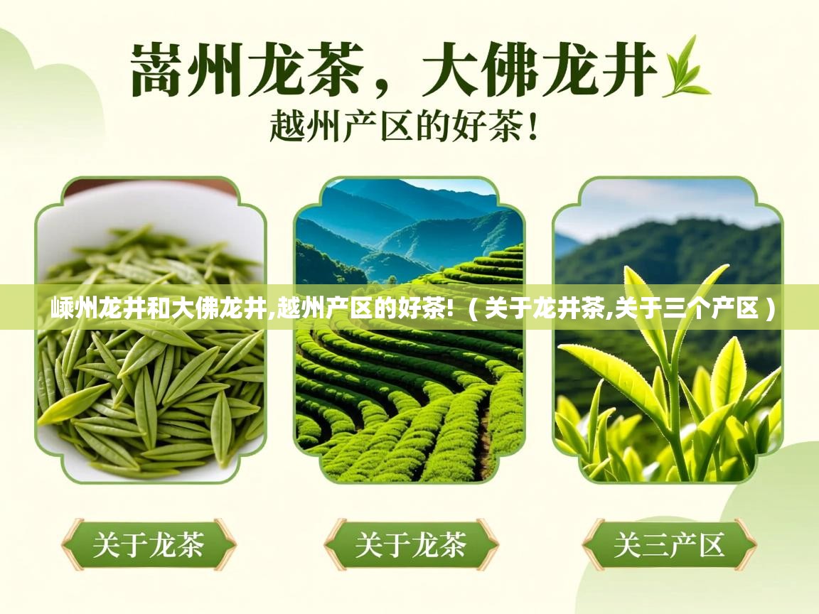 嵊州龙井和大佛龙井,越州产区的好茶! ( 关于龙井茶,关于三个产区 ) 嵊州龙井和大佛龙井,越州产区的好茶! ( 关于龙井茶,关于三个产区 )