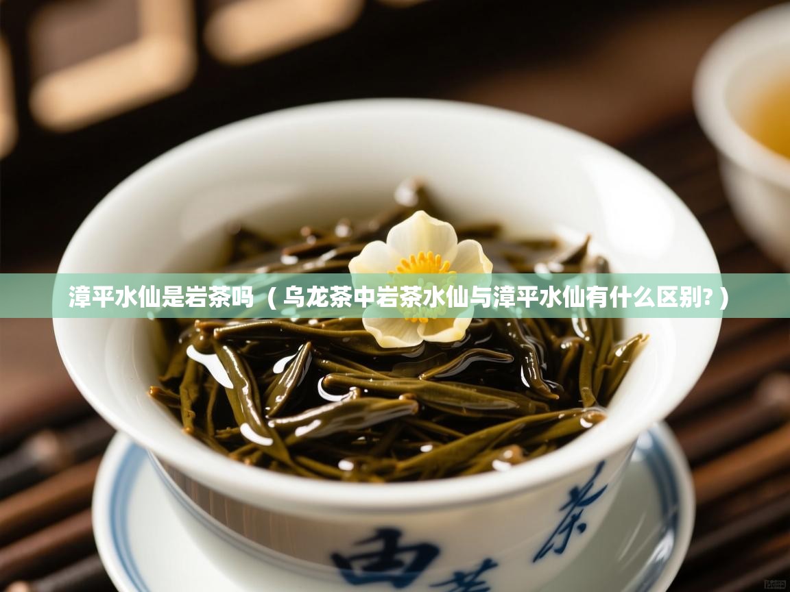 漳平水仙是岩茶吗 ( 乌龙茶中岩茶水仙与漳平水仙有什么区别? ) 漳平水仙是岩茶吗 ( 乌龙茶中岩茶水仙与漳平水仙有什么区别? )