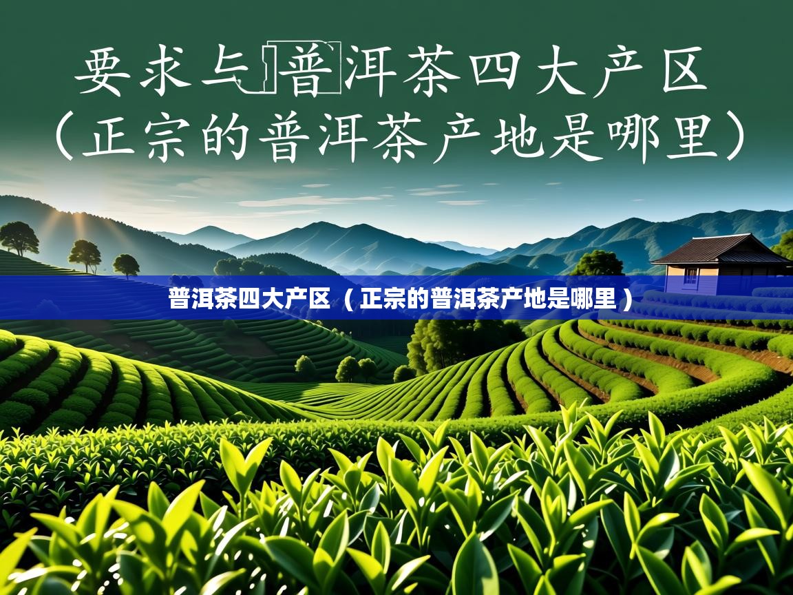 普洱茶四大产区 ( 正宗的普洱茶产地是哪里 ) 普洱茶四大产区 ( 正宗的普洱茶产地是哪里 )