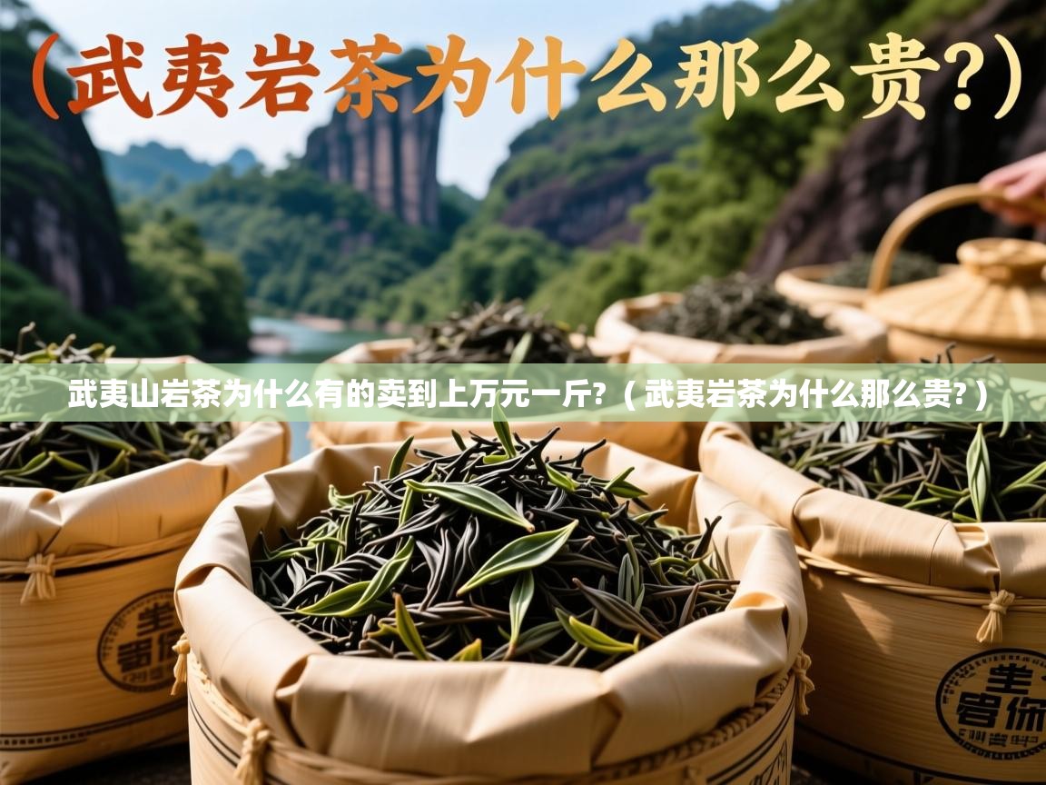 武夷山岩茶为什么有的卖到上万元一斤? ( 武夷岩茶为什么那么贵? ) 武夷山岩茶为什么有的卖到上万元一斤? ( 武夷岩茶为什么那么贵? )
