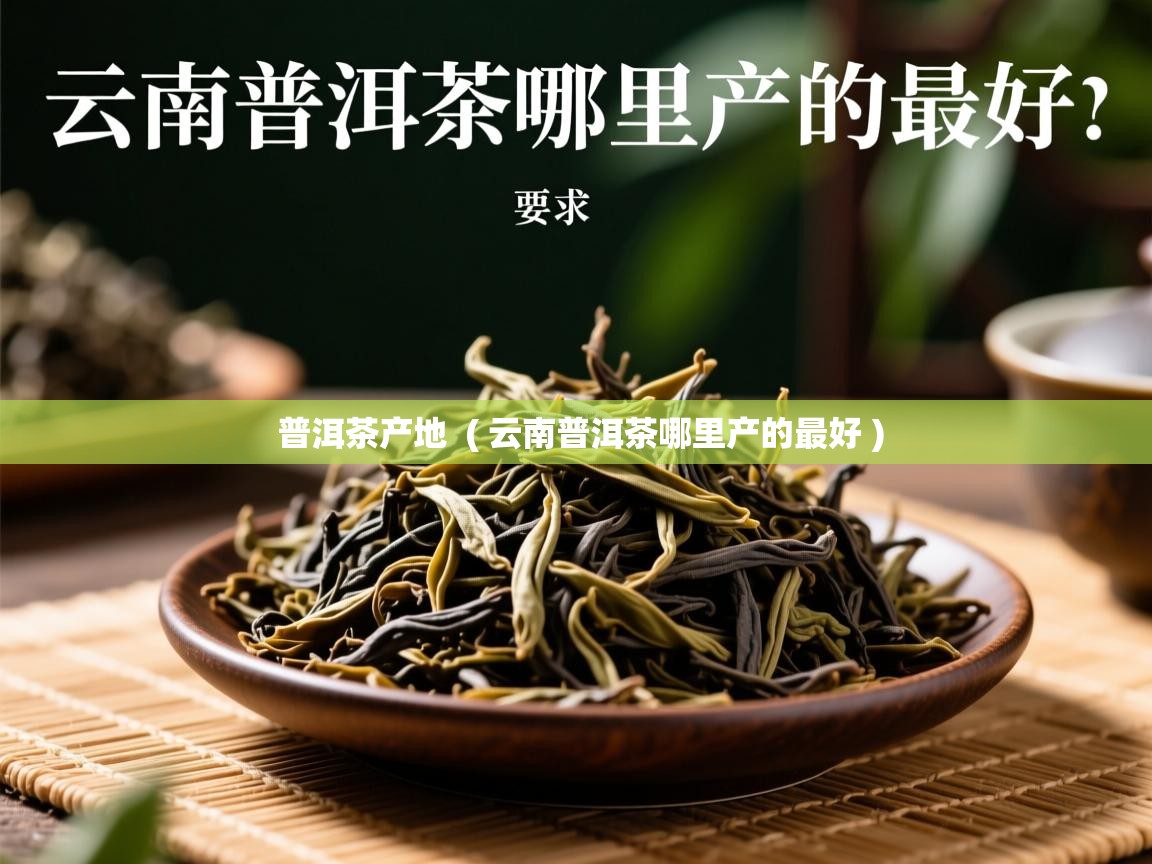普洱茶产地 ( 云南普洱茶哪里产的最好 ) 普洱茶产地 ( 云南普洱茶哪里产的最好 )