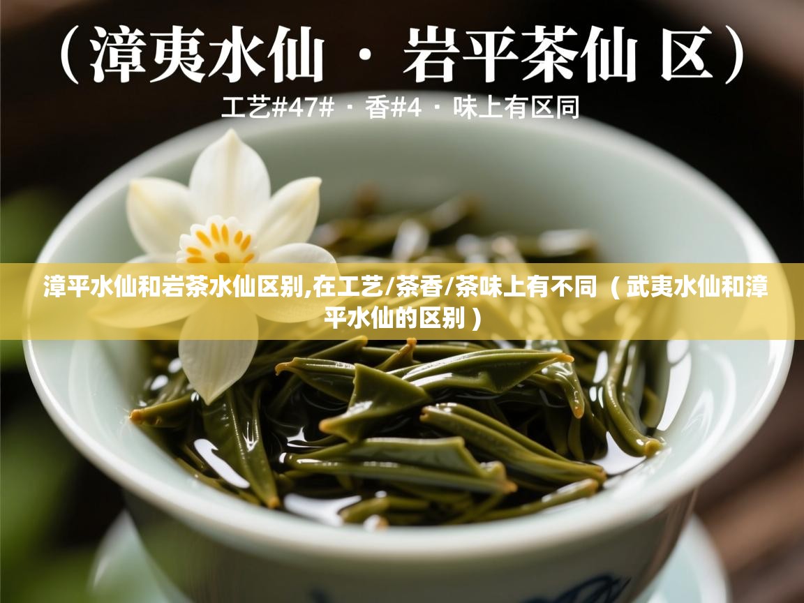  漳平水仙和岩茶水仙区别,在工艺/茶香/茶味上有不同  ( 武夷水仙和漳平水仙的区别 )