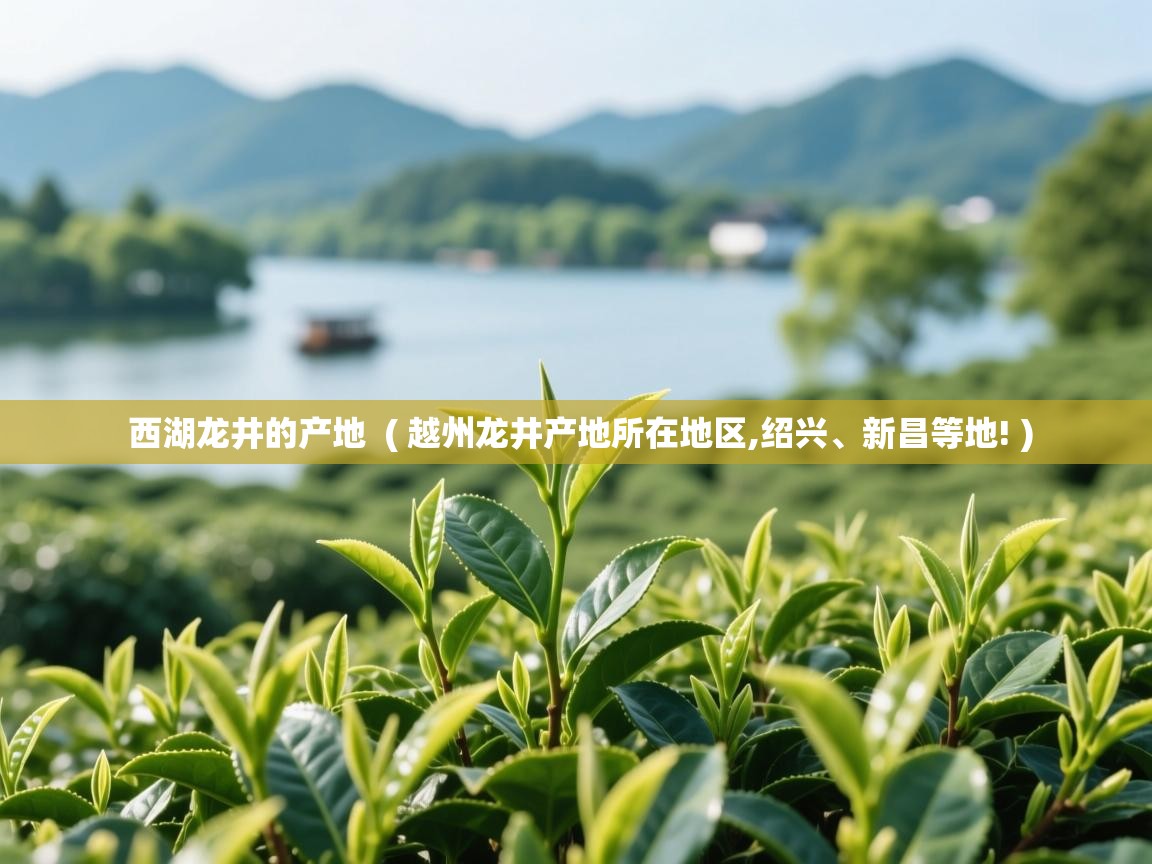 西湖龙井的产地 ( 越州龙井产地所在地区,绍兴、新昌等地! ) 西湖龙井的产地 ( 越州龙井产地所在地区,绍兴、新昌等地! )