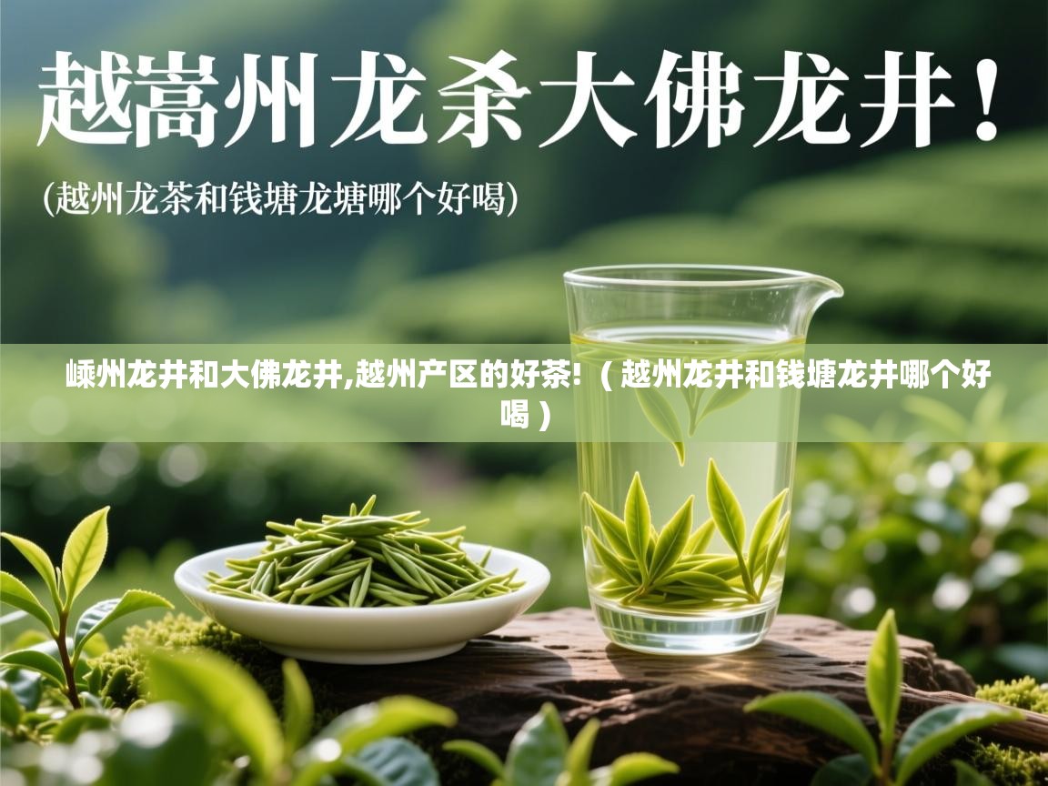 嵊州龙井和大佛龙井,越州产区的好茶! ( 越州龙井和钱塘龙井哪个好喝 ) 嵊州龙井和大佛龙井,越州产区的好茶! ( 越州龙井和钱塘龙井哪个好喝 )