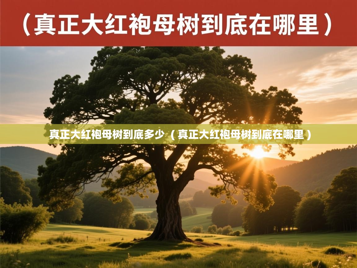  真正大红袍母树到底多少  ( 真正大红袍母树到底在哪里 )