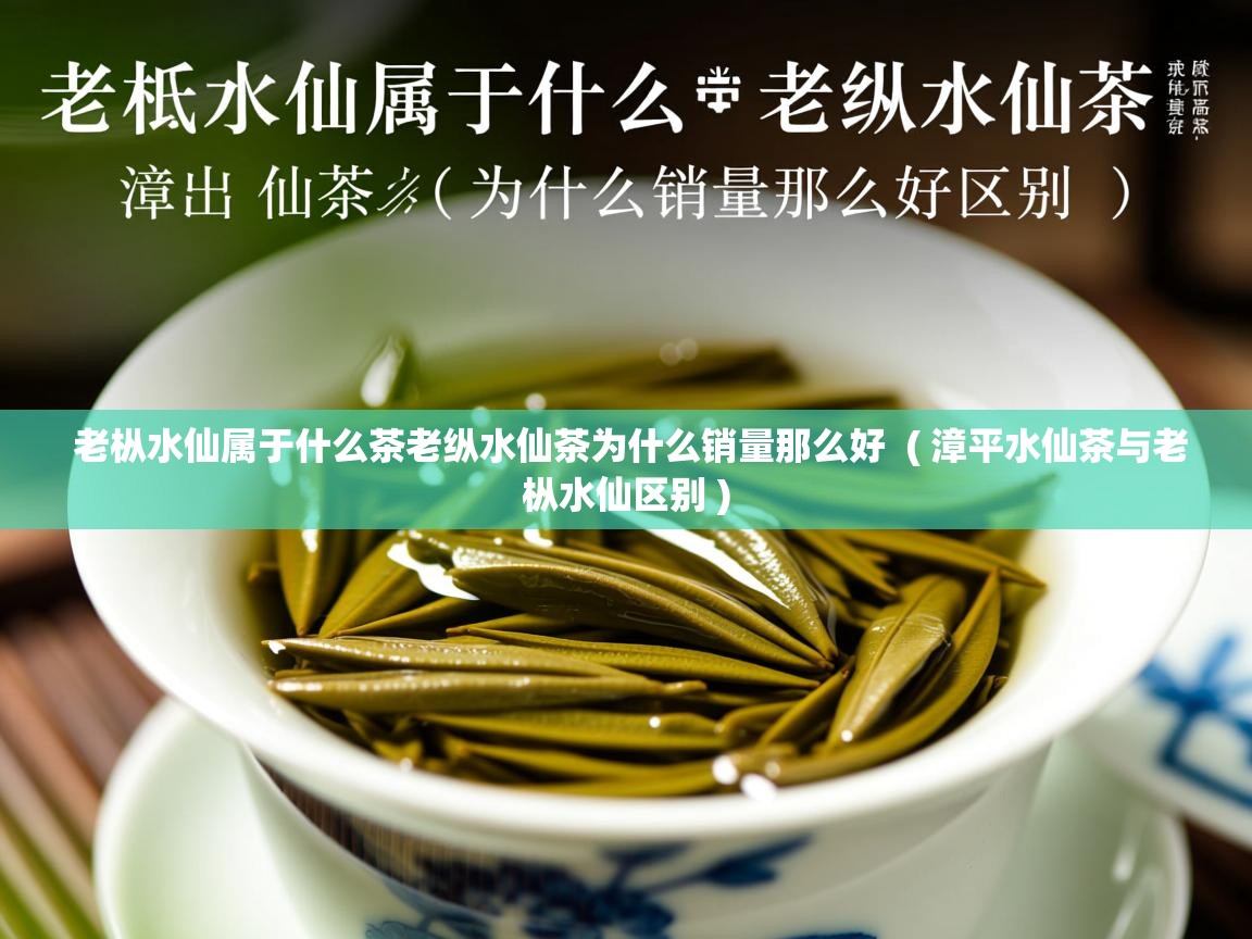 老枞水仙属于什么茶老纵水仙茶为什么销量那么好 ( 漳平水仙茶与老枞水仙区别 ) 老枞水仙属于什么茶老纵水仙茶为什么销量那么好 ( 漳平水仙茶与老枞水仙区别 )
